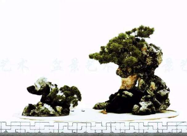 盆景怎么命题的必备基础与美学原则