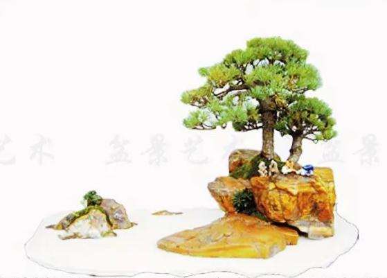 浅谈附石盆景作品怎么命题的方法