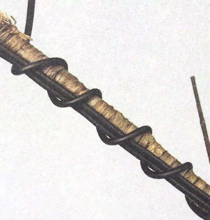 盆景怎么用铝丝蟠扎的技巧