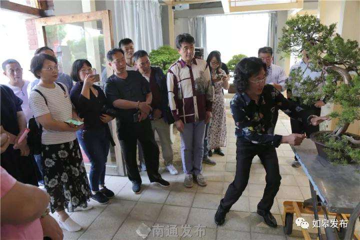 日本盆景大师馆落户如皋花木大世界