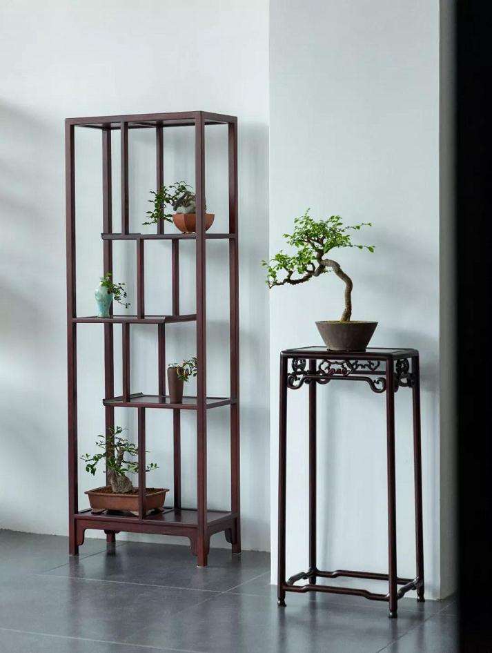 怎么在室内做好盆景与红木家具的搭配