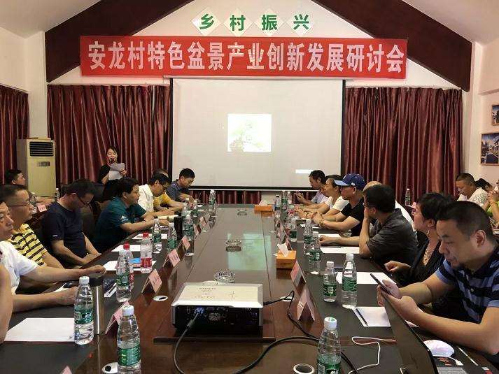 盆景专家一行查看安龙村盆景基地