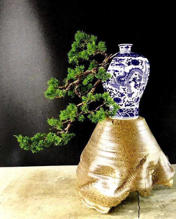 五针松丛林盆景怎么制作的方法