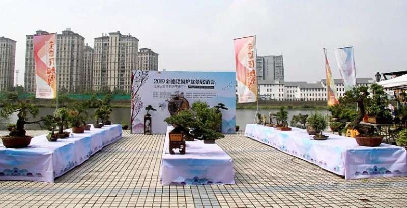绍兴市风景园林学会组织的全市性盆景展