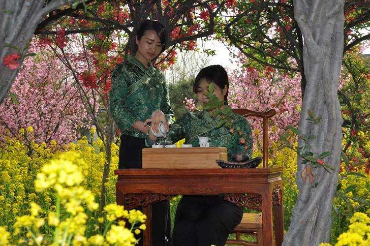 山东雅鸣园盆景产业化生产基地