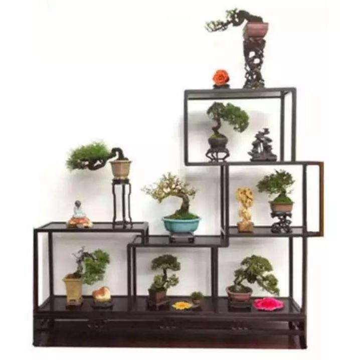 室内盆景怎么摆设的方法