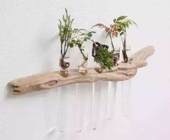 怎么制作水族盆景的方法