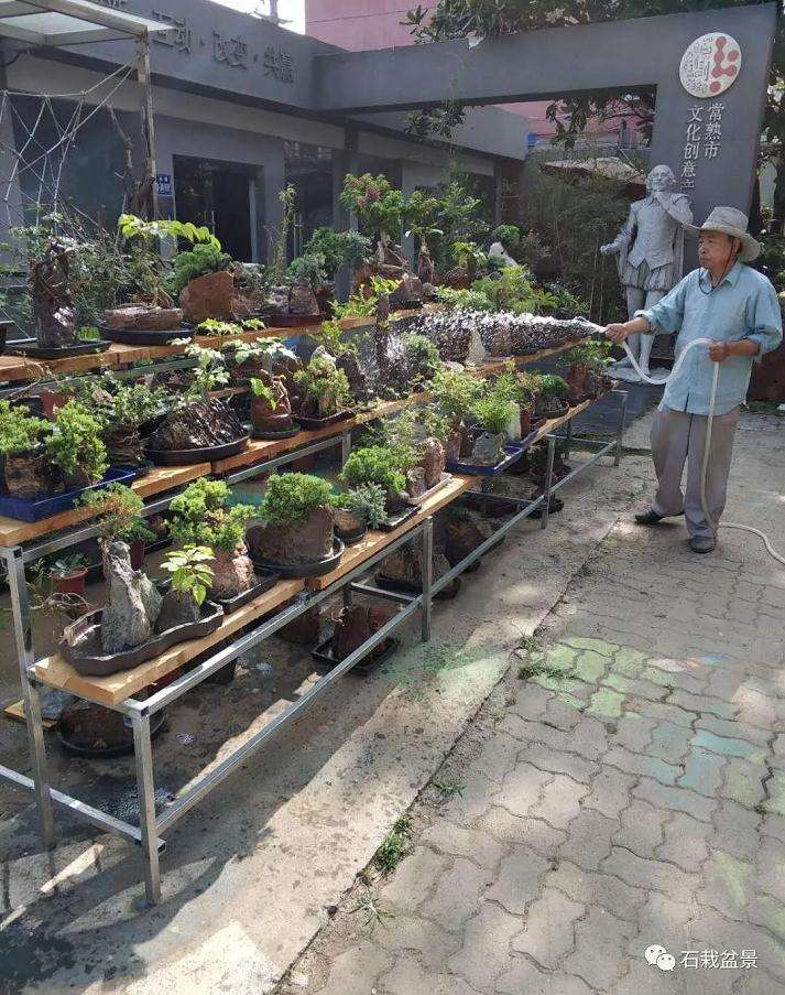 常熟市石栽盆景工作室的地址