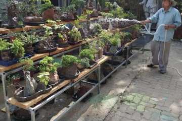 常熟市石栽盆景工作室的地址