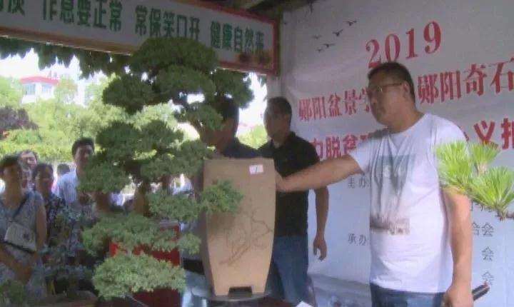 郧阳盆景学会爱心义拍活动在文化广场举行