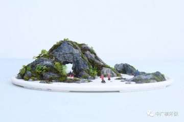 17年来 郭少波的盆景屡获行业好评