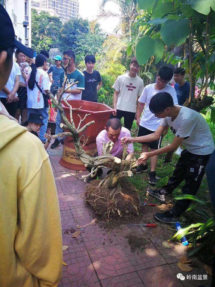 广东科贸职业学院2019年盆景经理人培训