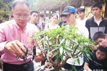 广东科贸职业学院2019年盆景经理人培训