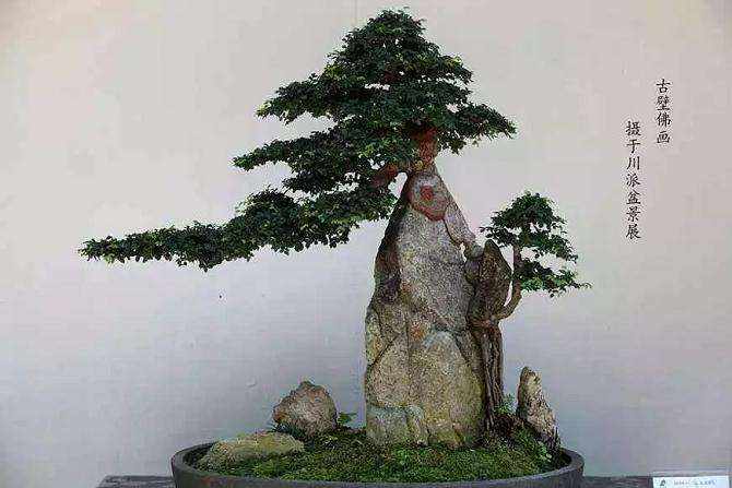 目前 大型盆景的市场价格越来越高