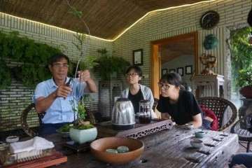 岭南盆景的传承与发展研讨会