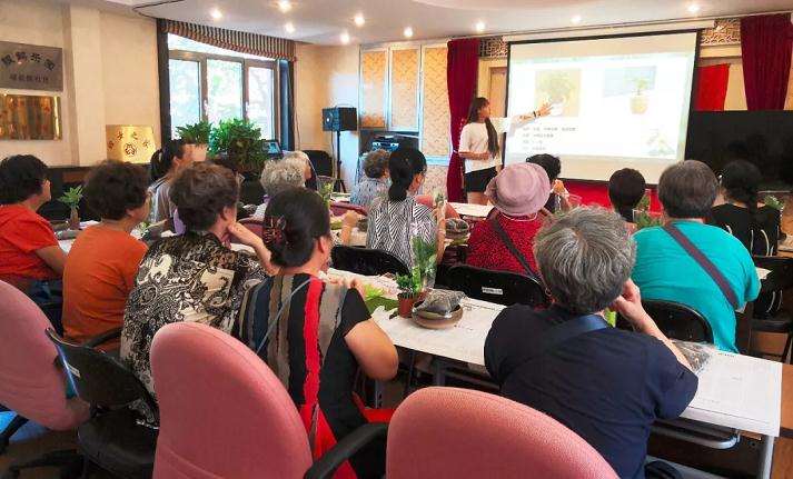 天桥驿站举办了一场发财树盆景制作活动