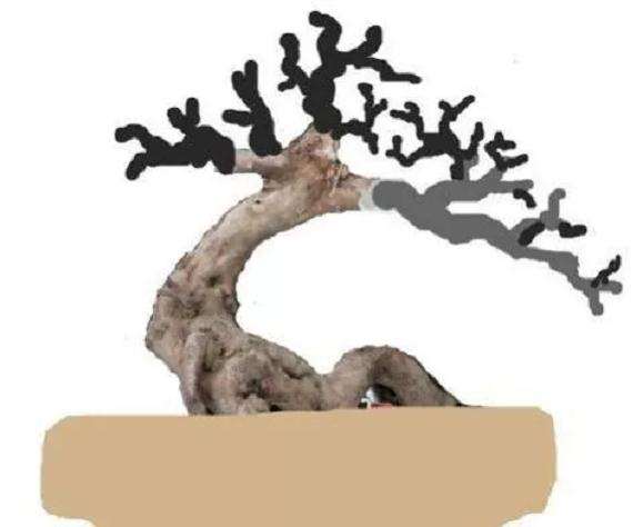 挖掘下山桩如何保证成活率