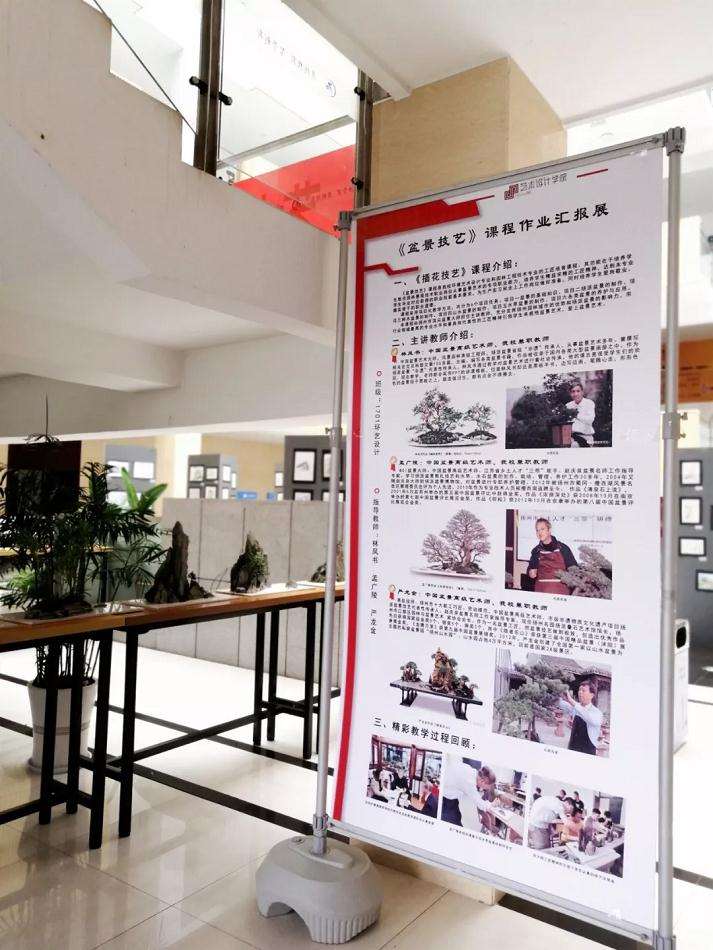 盆景技艺课程作业汇报展