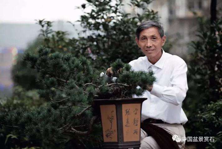 盆景技艺课程作业汇报展