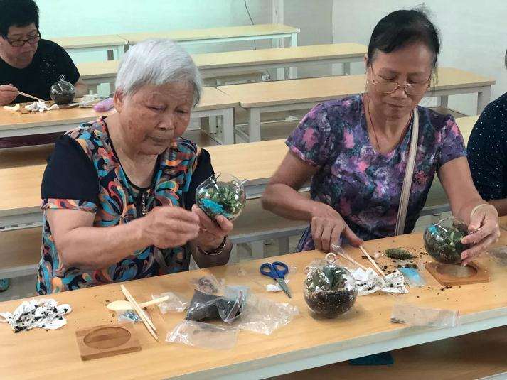 微盆景怎么种植的学习活动