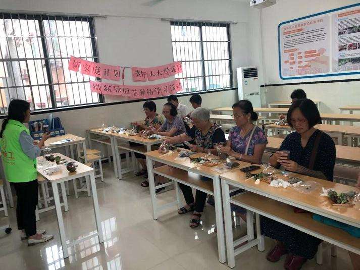 微盆景怎么种植的学习活动