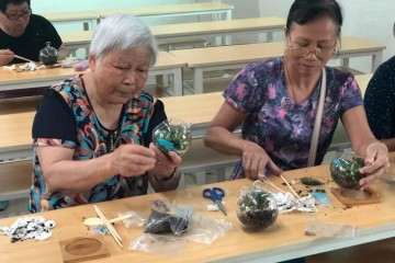 微盆景怎么种植的学习活动 图片