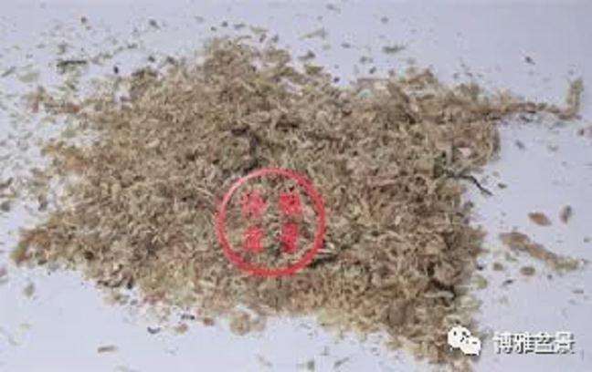 图解 盆景怎么高压造型的21个步骤