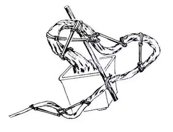 图解 盆景怎么盘扎造型的方法