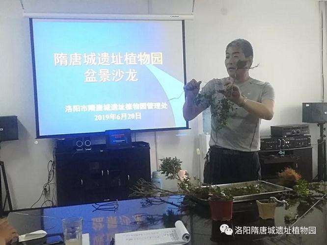 洛阳隋唐城遗址植物园举办盆景沙龙