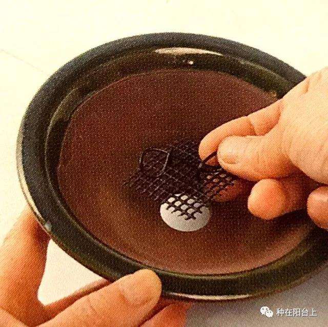 图解 微型盆景怎么制作苔藓的方法 上