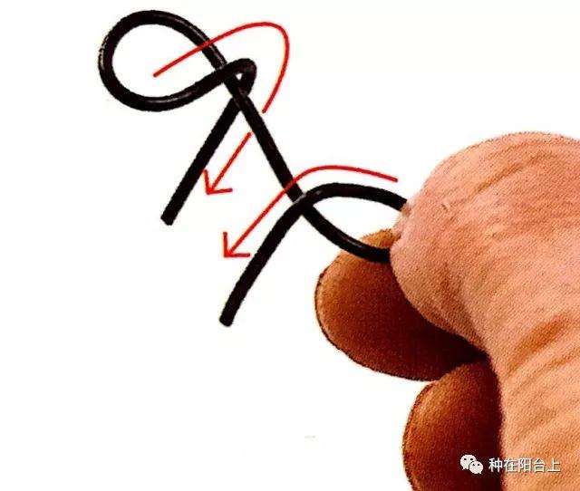 图解 微型盆景怎么制作苔藓的方法 上