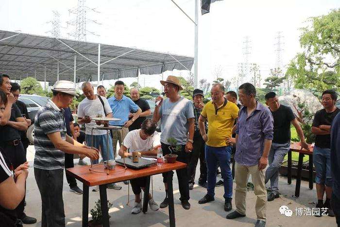 慈溪盆景协会亲如一家人