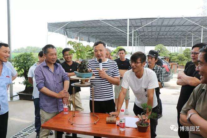 慈溪盆景协会亲如一家人