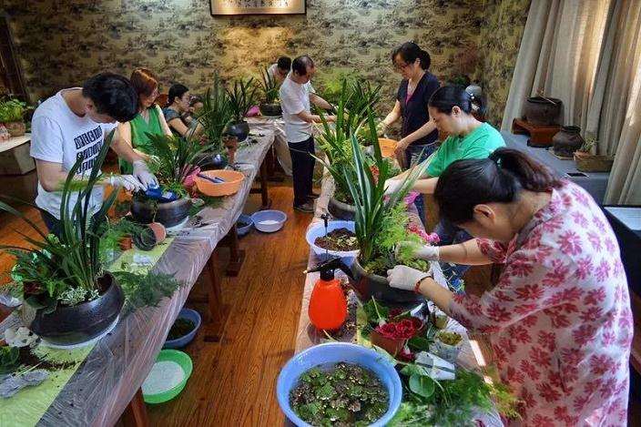 怎么讲述盆景的创作手法和方式