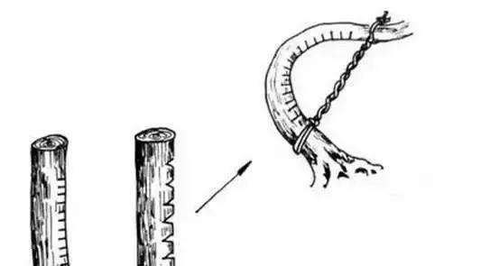 盆景大枝怎么拿弯的方法