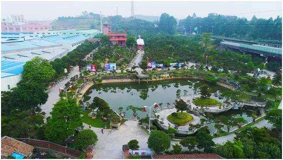 东莞真趣园是岭南派盆景的代表园林