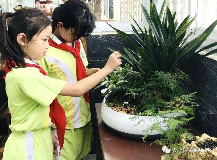 教学创新聚写作 盆景语文双携手