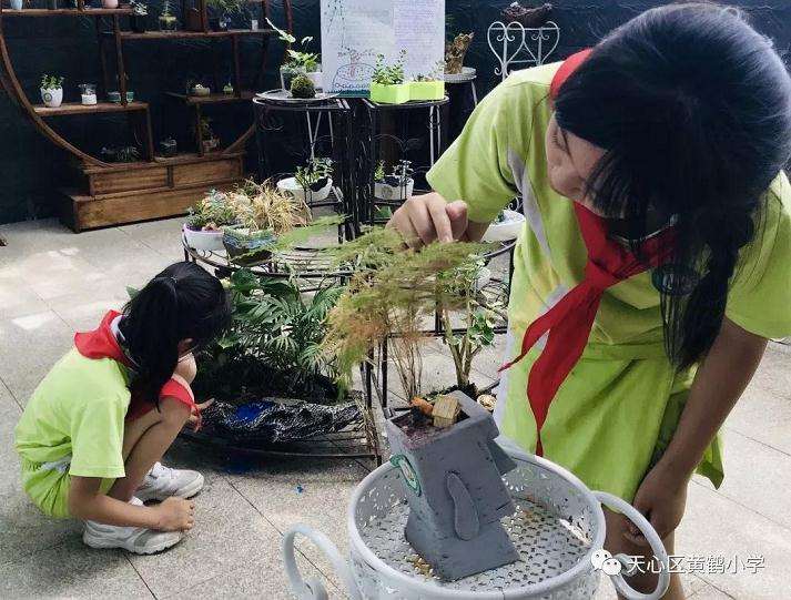 教学创新聚写作 盆景语文双携手