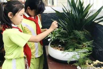 教学创新聚写作 盆景语文双携手