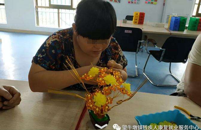 七色盆景作为工艺品装饰