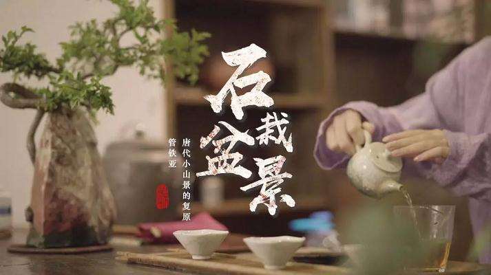 石栽盆景怎么制作的方法