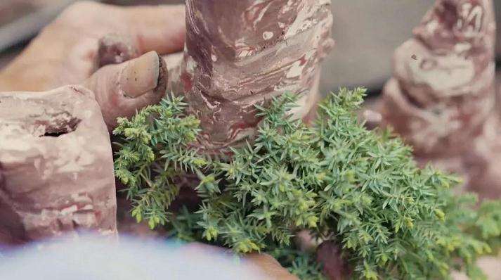 石栽盆景怎么制作的方法