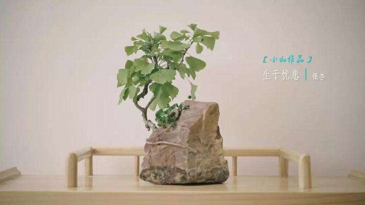 石栽盆景怎么制作的方法