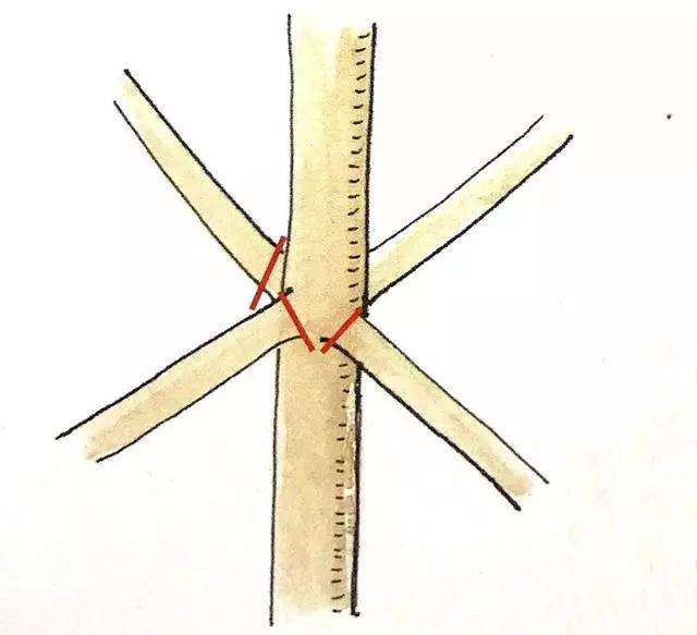 盆景定枝修剪忌枝的种类有哪些
