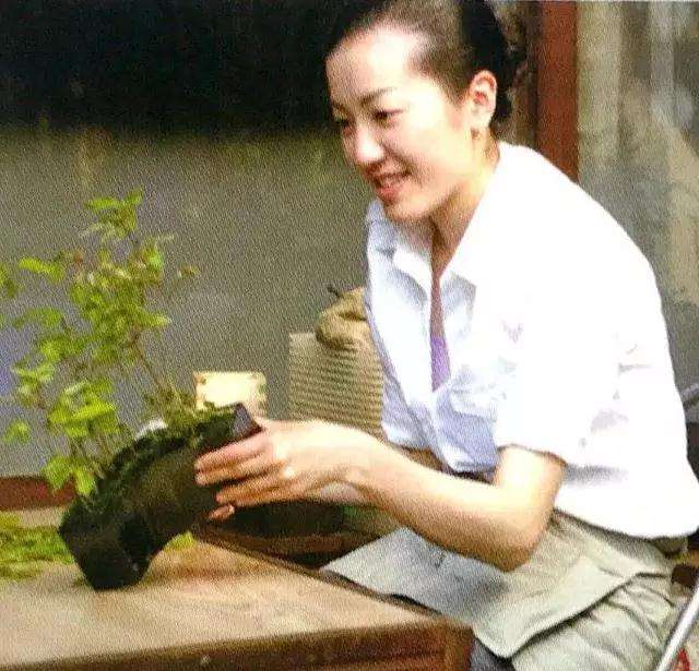 盆景定枝修剪的目的是什么