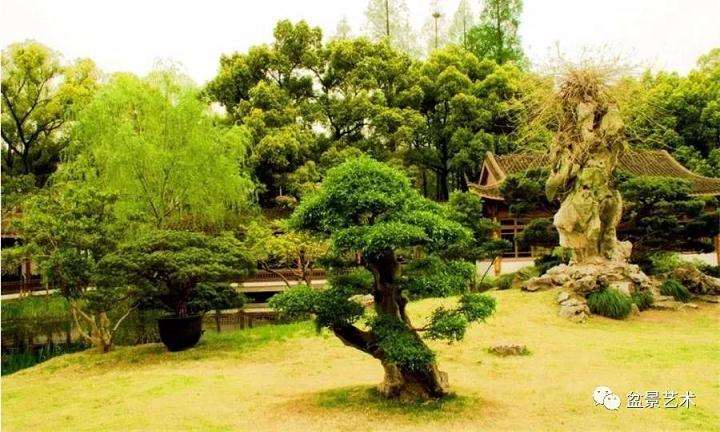 盆景与园林之间有什么关系