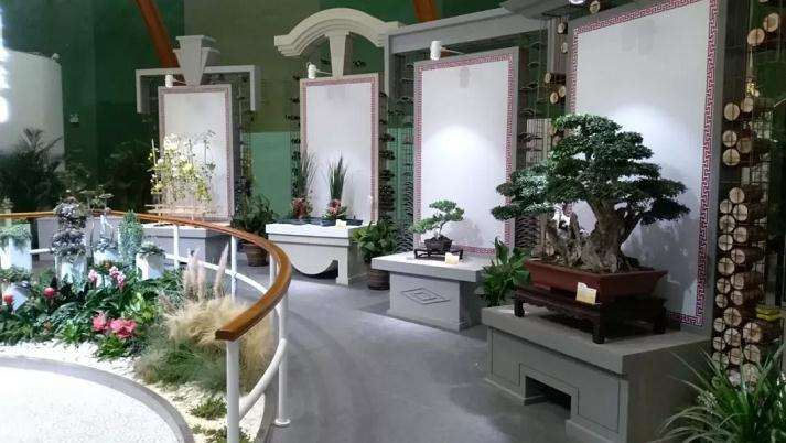 海派盆景送展世园会第二次评审