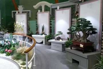 海派盆景送展世园会第二次评审