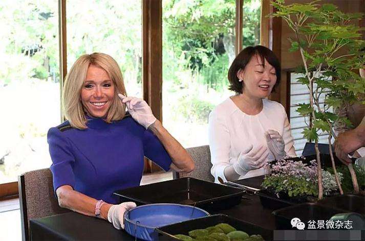 与日本第一夫人脱鞋做盆景