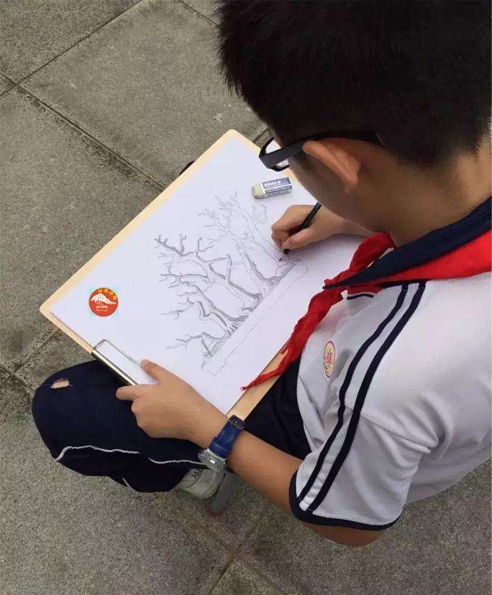 总结了几点让孩子爱上盆景的好处